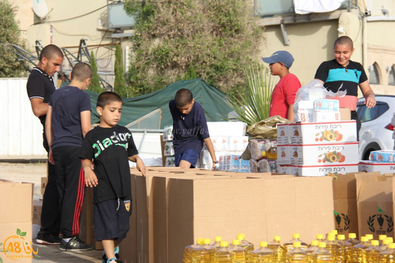 jami3ya torodya (13).jpg